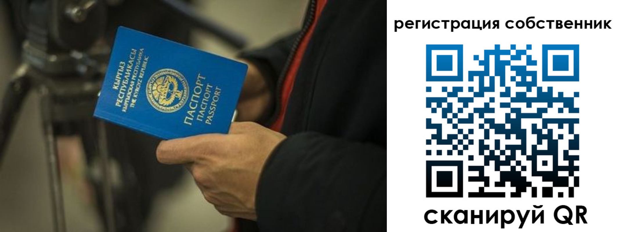 временная регистрация поиск в Братске